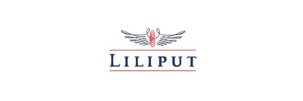 aktuelles Liliput H0e-Programm