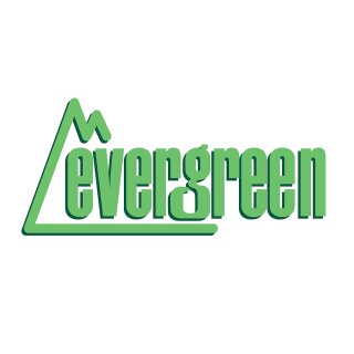 Evergreen 504062 -  Kunststoffplatte, 1x150x300 m