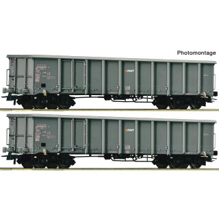 ROCO 76099 - Spur H0 2er-Set Offene Güterwagen AWT