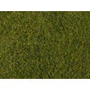 Noch 07291 - Spur G,1,0,H0,H0M,H0E,TT,N,Z Wiesen-Foliage gelb-gr&uuml;n, 20 x 23 cm