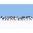 Noch 15725 - Spur H0 Kühe, schwarz-weiß