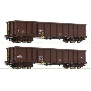 ROCO 76075 - Spur H0 ÖBB Offene Güterwagen Eanos Ep.VI  2er-Set mit Holzbeladung    !!! NEU IN AKTION AB KW33/2020 !!!