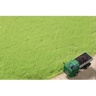 Auhagen 75613 - Grasfasern hellgrün 4,5 mm 50 g