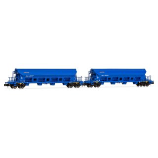 Arnold HN6390 - Spur N NACCO, 2-tlg. Set 4achs. Schwenkdachwagen Tads in blauer Lackierung, Ep. VI