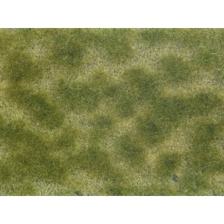Noch 07253 - Spur G,1,0,H0,H0M,H0E,TT,N,Z Bodendecker-Foliage grün/beige 12 x 18 cm