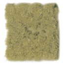 Vallejo 706106 -  Wild-Gras, beige, dicht, 6 mm
