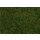 Faller 170258 - Spur H0, TT, N Streufasern Wildgras, dunkelgrün, 4 mm, 1 kg Ep.