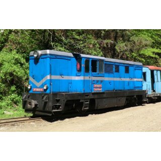 Bemo 1020902 - Spur H0e CFF 87-0032-0 L45H Wassertalbahn blau