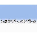 Noch 15721 - Spur H0 Kühe, schwarz-weiß