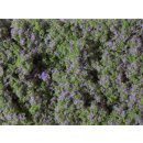 Auhagen 76931 - 1:160 bis 1:87 Blumenmatte violett ca....