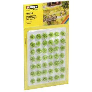 Noch 07034 - Spur G,1,0,H0,H0M,H0E,TT,N,Z Grasbüschel Mini-Set “Feldpflanzen” grün, 42 Stück, 6 mm