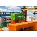 Faller 180821 - Spur H0 20 Container EVERGREEN Ep.V